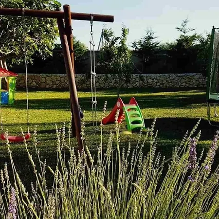 Ferienwohnung Fuer 4 Personen Ca 50 Qm In Privlaka, Dalmatien Norddalmatien - B52467 Apartment *